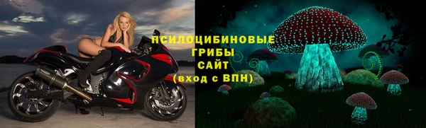 шишки Аркадак
