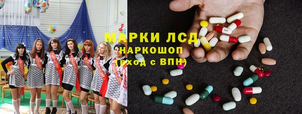 шишки Аркадак