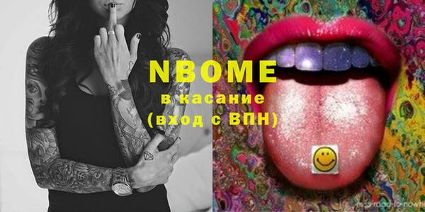 шишки Аркадак