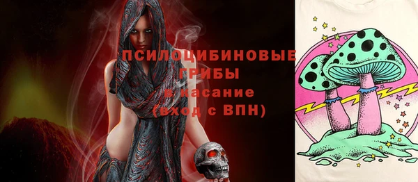 шишки Аркадак