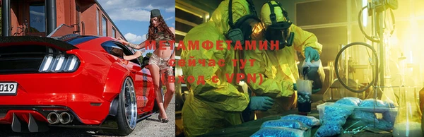 шишки Аркадак