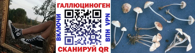 Галлюциногенные грибы MAGIC MUSHROOMS Заозёрный